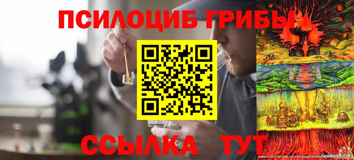 Менделеевск  Галлюциногенные грибы прущие грибы  Вход с VPN 